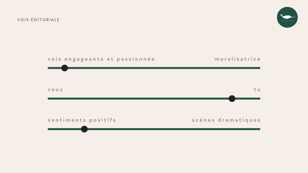 Nous choisissons un axe de communication centré sur une voix engageante et passionnée, qui s’adresse directement au consommateur avec le "tu". 

En s'adressant directement au consommateur, nous rendons le message plus intime et personnel, renforçant ainsi l'engagement et l'identification à la marque.