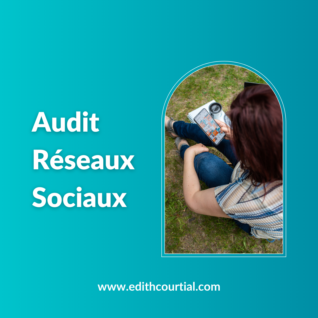 telephone audit analyse