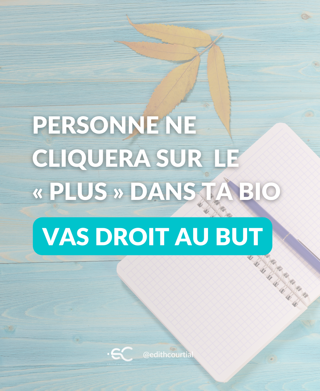 Instagram bio doit être optimisée stratégiquement